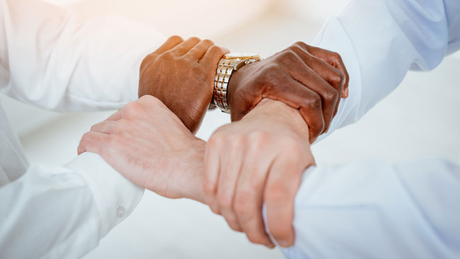 Four hands hold each others wrists. Four hands hold each others wrists.